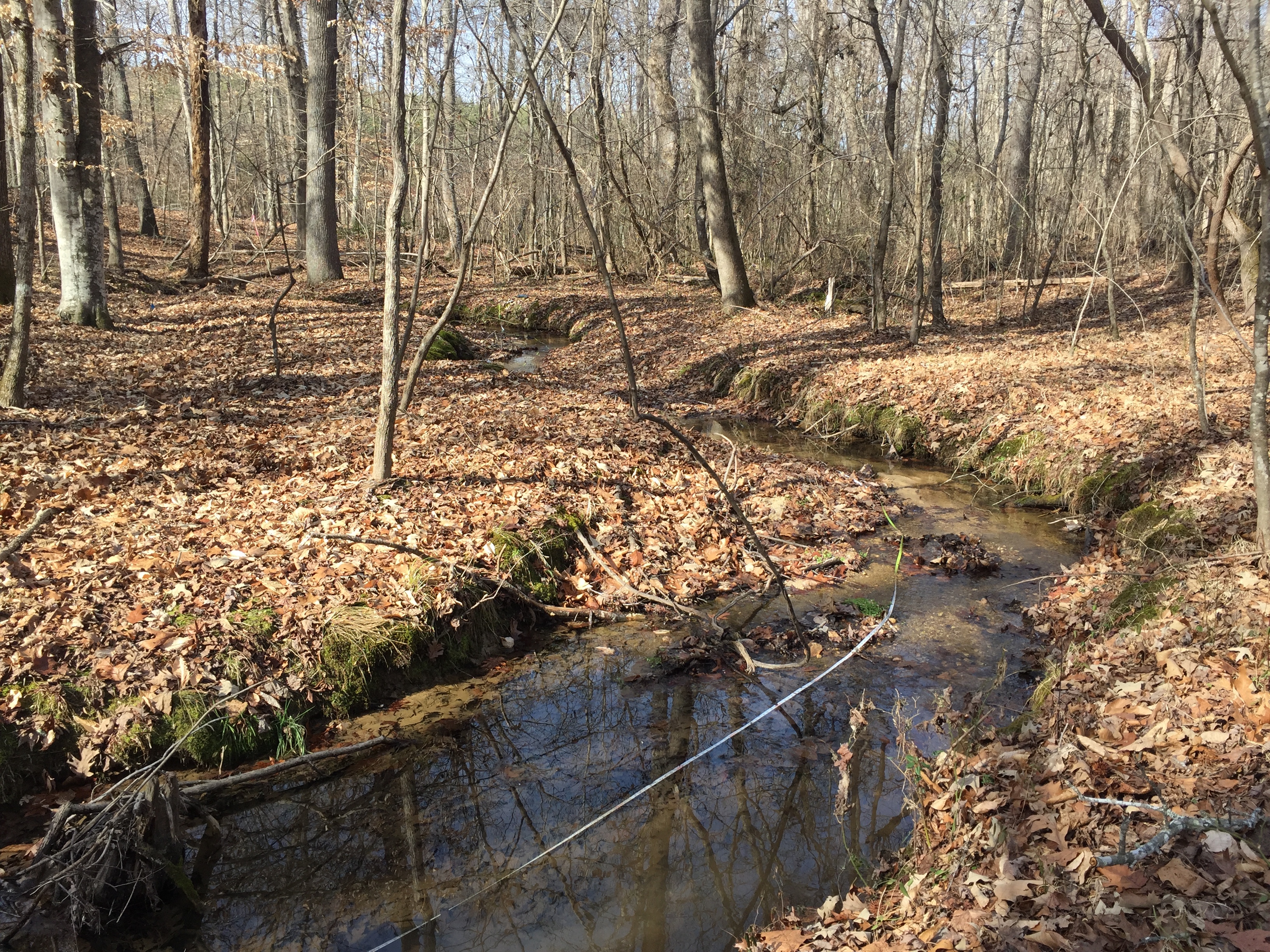 A color photograph of UT Billy's Creek showing a meandering, narrow waterway in fall weather. The trees on the banks are nearly bare, and the ground is covered with brown, fallen leaves, A few patches of green growth are visible on the creek banks.